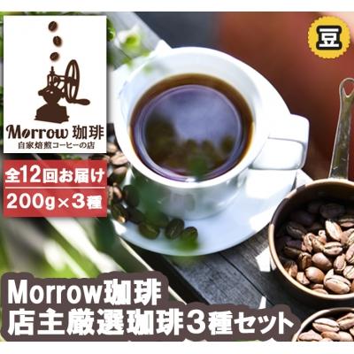 ふるさと納税 小郡市 コーヒー 定期便12ヶ月 元珈琲嫌いの店長が送る 人気TOP3 セット 豆[No5354-0390]