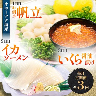 ふるさと納税 北見市 【毎月定期便】2代目漁師の人気の無添加お刺身帆立500g・イカソーメン・いくら醤油漬け全3回