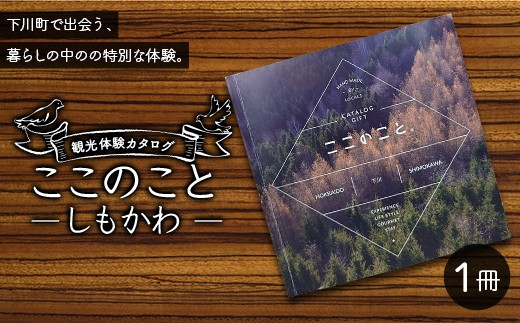 
                  観光体験カタログ「ここのこと しもかわ」下川町 北海道 地域のお礼の品 ご当地 F4G-0340
                