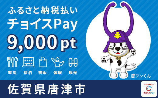 
唐津市チョイスPay 9,000pt（1pt＝1円）【会員限定のお礼の品】
