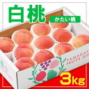 【ふるさと納税】☆フルーツ王国山形☆白桃 秀品 3kg [かたい桃] 【令和6年産先行予約】FS23-824