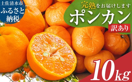 【令和9年発送　訳あり】ぽんかん10kg（オレンジ園）10キロ  デコポンの親 みかん ミカン 果物 果実 柑橘 フルーツ おやつ デザート ジューシー 甘い 美味しい 健康 家庭用 国産【R01081】