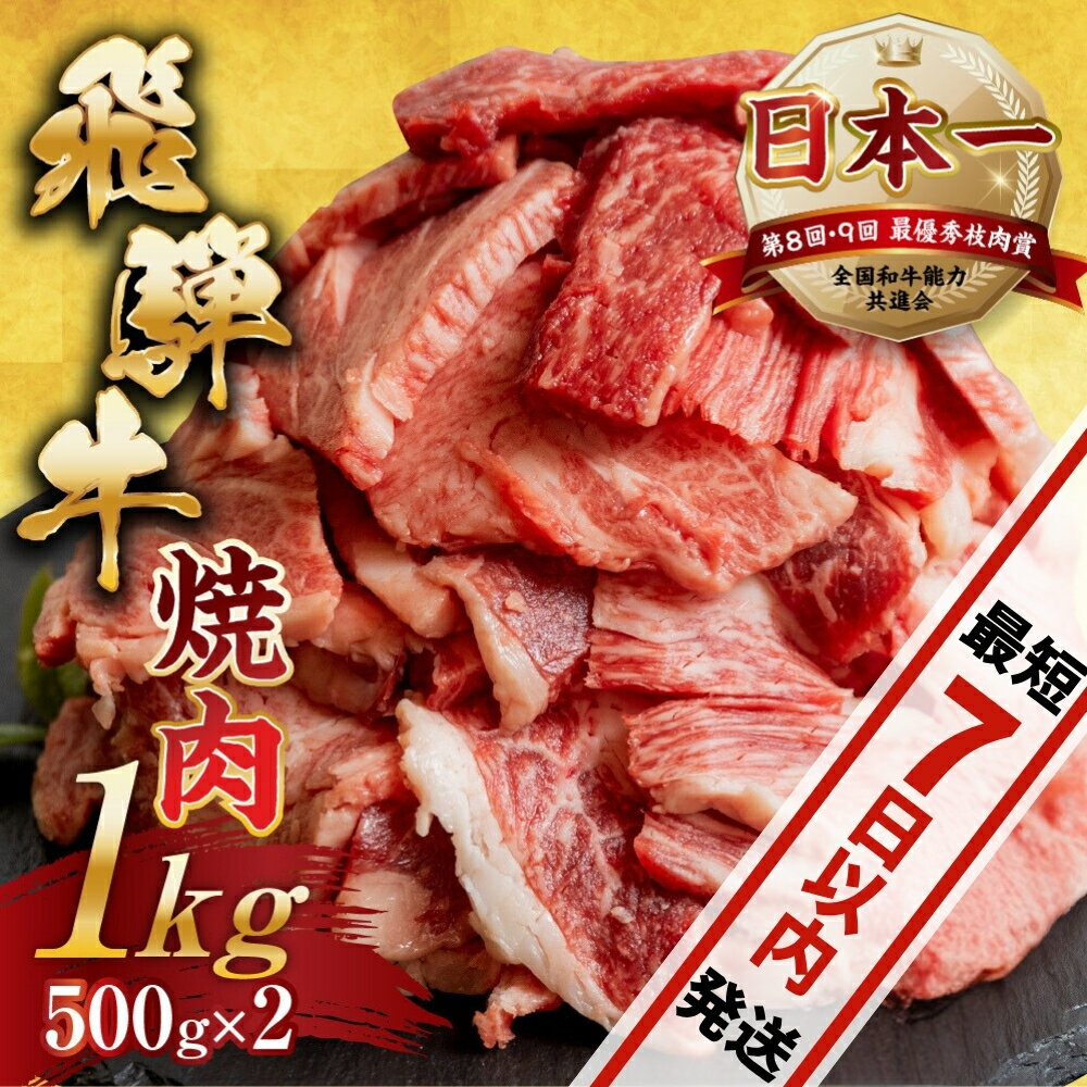 【ふるさと納税】 訳あり 飛騨牛 焼肉 切り落とし 500g×2 計1kg 牛肉 肉 切落し 和牛 国産牛 わけあり 不揃い 小分け 冷凍 本巣市 トキノ屋 BBQ バーベキュー 人気 焼き肉 [mt656] 25000円