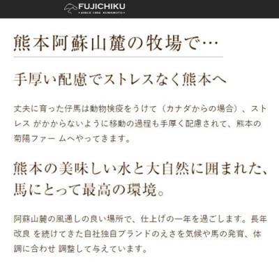 ふるさと納税 小国町 【熊本と畜】ふじ馬刺し おつまみユッケ6個セット 300g |  | 03