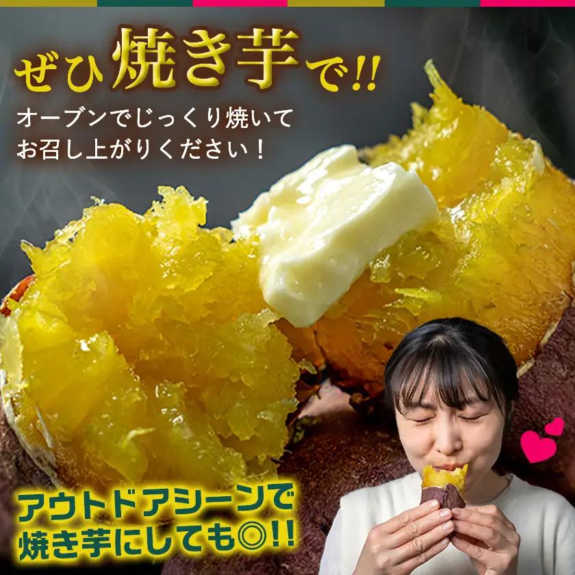 先行受付!【11月お届け】島津甘藷　熟成紅はるか 2kg(M～S)〔LB-A7-001-2kg-11〕_(都城市) さつまいも 幻のサツマイモ 幻の品種 紅はるか 2kg M～S べにはるか 生芋 ベ