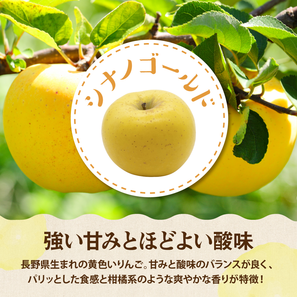 【2026年産】りんご サンふじ&シナノゴールド 詰め合わせ 5kg 秀品 化粧箱入り 山形県 東根市 東根農産センター提供 hi027-209-r8