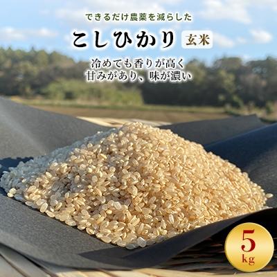 ふるさと納税 行方市 令和8年産新米【できるだけ農薬を減らした】こしひかり玄米5kg