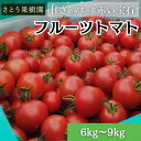 【ふるさと納税】トマト フルーツトマト 6kg～9kg 5箱 フルティカ 藤沢市 野菜 とまと ミニトマト ハウス栽培　お届け：2024年12月初旬 ～ 2025年7月上旬