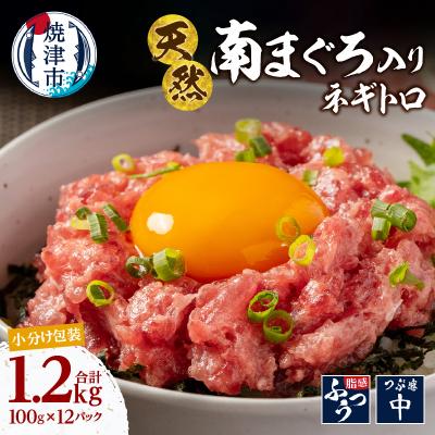 ふるさと納税 焼津市 南鮪入り 焼津 海の極 ネギトロ 小分け 計1.2kg 100g×12パック(a14-112)
