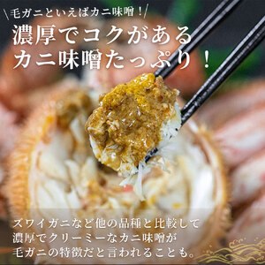 fn-40-016【出荷前にお電話します！】 活毛ガニ 3杯 （260g～360g×3） 三陸産【令和8年2月上旬～4月頃お届け】ヤマコー片桐鮮魚店