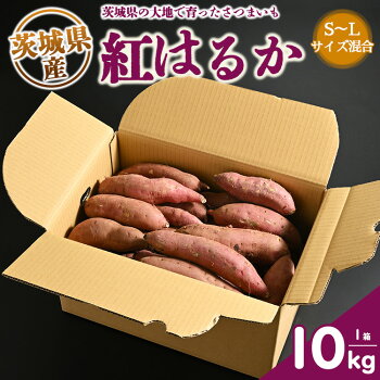 生芋　10kg　S～Lサイズ混合　1箱 いも長 | さつまいも いも 生いも 紅はるか 国産 ※着日指定不可 ※離島への配送不可※2024年11月下旬～2025年9月下旬頃に順次発送予定