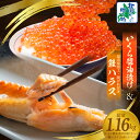 【ふるさと納税】いくら 醤油漬け 80g 2パック 訳あり 鮭ハラス 200g 5パック 小分け 鮭 ハラス 昆布塩加工 はしっこ サーモン 大トロ 腹ヒレ肉 北国からの贈り物 魚介類 海鮮 大阪府 泉佐野市 お取り寄せ お取り寄せグルメ 送料無料