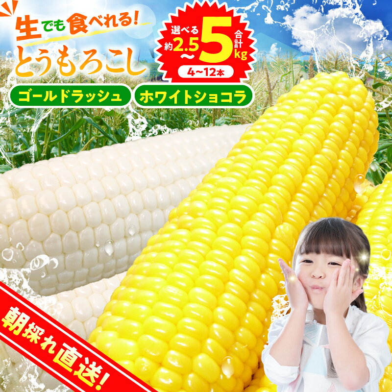 【ふるさと納税】 ★2027年先行予約★ とうもろこし ゴールドラッシュ ホワイトショコラ 食べ比べ 詰め合わせ 約2.5kg(4～6本入） 約5kg(10～12本) 朝採れ 人気 野菜 お取り寄せ 産地直送 新鮮 ギフト プレゼント 贈答 送料無料 山梨県 忍野村 ※沖縄県、離島不可