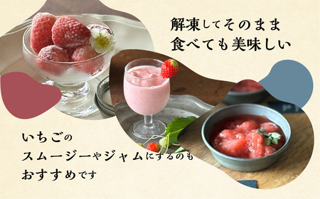【2026年5月より発送】 《 訳あり 》 冷凍いちご 品種おまかせ 1kg (500g × 2p) 簡易梱包 サイズ 不揃い のため 訳あり 訳アリ フルーツ 果物 苺 いちご 紅ほっぺ よつぼし 