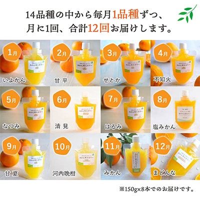 【発送月固定定期便】みかん寒天ゼリー定期便〜毎月1品種8本 全12回【H25−110】【4012159】
