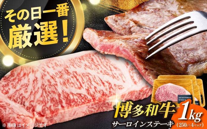【溢れる肉汁と濃厚な旨味】博多和牛 サーロイン 1kg (250g×4枚)《築上町》【株式会社MEAT PLUS】 [ABBP015]