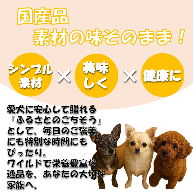 ドッグスナックお試しBOX【090-0006】