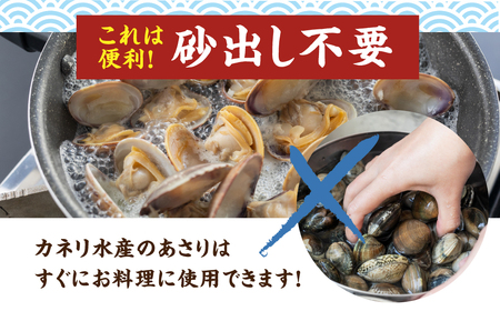 《先行予約》渥美産 旬の天然活あさり 2kg 先行予約 ふるさと納税 あさり 国産 ふるさと納税 アサリ 採れたて ふるさと納税 砂抜き 海鮮 魚介類 魚介 貝 送料無料 産地直送 応援 寄附