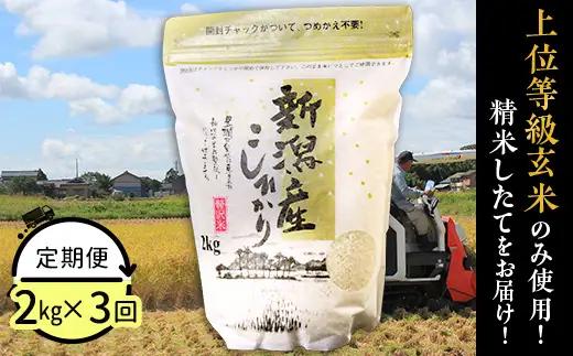 31-K23【3ヶ月連続お届け】新潟県産コシヒカリ2kg