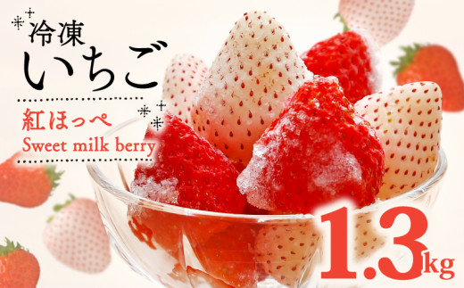 【紅白冷凍いちご】紅ほっぺ 白いちご 計 1.3kg 高級  イチゴ 苺 セット Sweet milk berry 各 650g フルーツ 果物 ストロベリー 国産 スイーツ デザート 苺 冷凍いちご 冷凍イチゴ 冷凍苺 果物 アイス ジャム シャーベット 氷菓 冷凍 甘い オススメ ギフト 人気   静岡苺 静岡いちご 静岡イチゴ 牧之原苺 牧之原いちご 産地直送 新鮮 静岡県 牧之原市 畠農宝