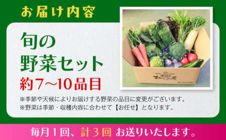 【全3回定期便】よこすか野菜セット すかなボックス／野菜 旬 セット  【JAよこすか葉山】[ASCB002]