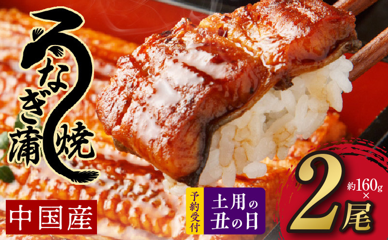 
【土用の丑の日】秘伝のたれ仕込み うなぎ蒲焼 合計 320g（約160g×2尾）鰻 ウナギ 中国産 温めるだけ 簡単 レンジ調理 ふっくらふわふわ 炭火焼き 備長炭 手焼き 先行予約
