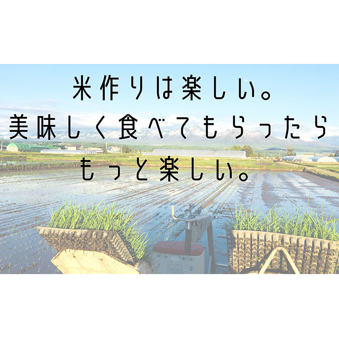 ◆10ヶ月連続定期便◆ななつぼし 無洗米 10kg /北海道 上富良野産 ～It's Our Rice～ お米 10キロ 特Ａ _イメージ4