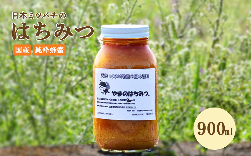 
はちみつ 日本蜜蜂の蜂蜜 900ml ハチミツ 蜂蜜 ミツバチ 百花蜜 天然100％ 国産 宮崎 パン トースト ヨーグルト
