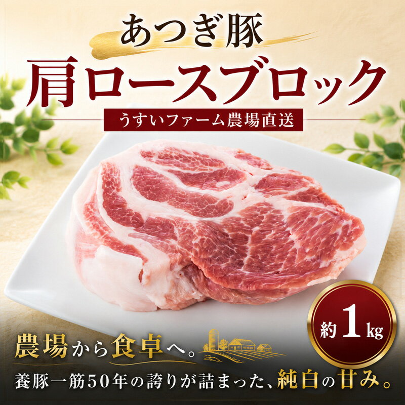 【ふるさと納税】 豚肉 肩ロース ブロック肉 1kg 10,000円 塊肉 国産 豚 あつぎ豚 特産品 神奈川県 厚木市 UIF003
