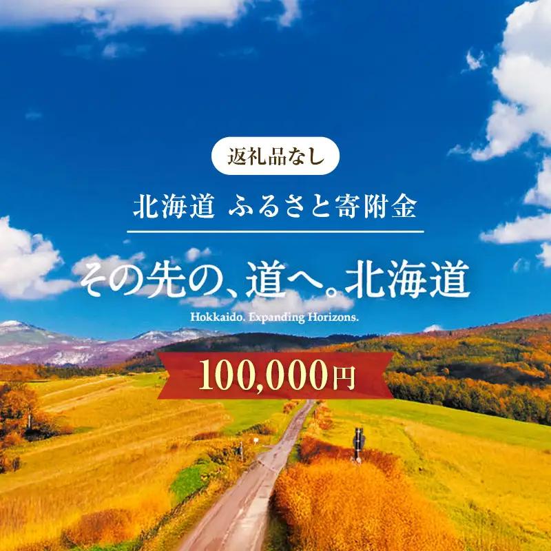 【ふるさと寄附金】北海道庁 100,000円 返礼品なしのご寄附 応援 エール 寄附のみ 返礼品なし 返礼品なしの寄附  F6S-683