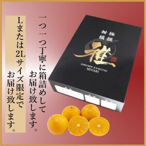 極撰柑橘“雅”光センサー合格品・柑橘の大トロ「 せとか 」2キロ　【C39-47】【配送不可地域：離島】【1380610】