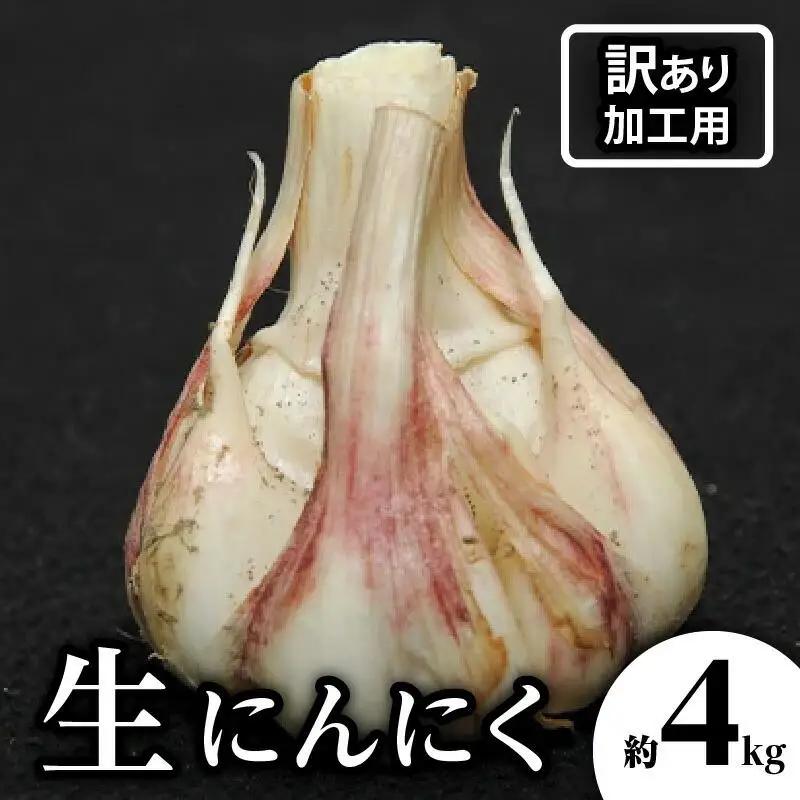 加工用 訳あり 生にんにく 約4kg【2026-5月上旬～2026-6月上旬配送】| にんにく