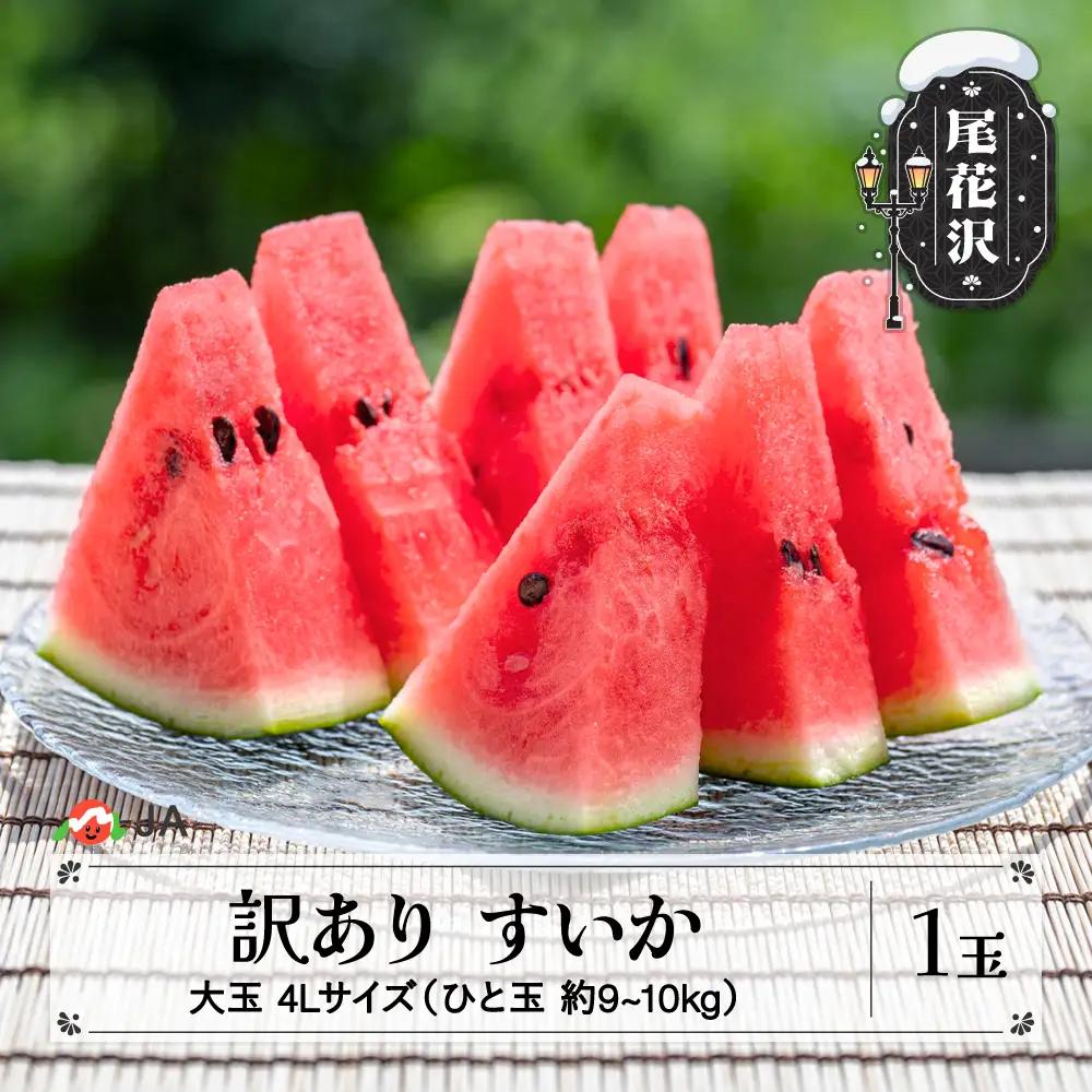 数量限定 訳あり すいか 大玉 4Lサイズ(約9~10kg)×1玉 7月下旬~8月10日頃発送 令和8年産 ※沖縄・離島への配送不可 ja-su4wx1