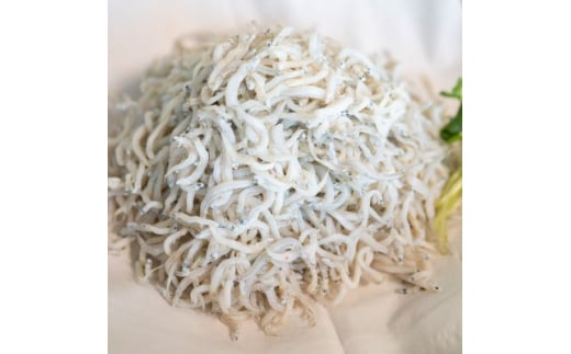 日間賀島 釜揚げ しらす 1kg 天然 塩 愛知県 南知多町 冷凍 ご飯 国産 ごはん パスタ サラダ 人気シラス 美味しいシラス釜揚げシラス しらす丼 国産シラス 新鮮しらす ピザ 丼 料理 国産 パーティー 魚 さかな 魚介 鮮魚 シラス ミネラル 人気 おすすめ 人気しらす 美味しいしらす コメ に合う お米 に合う ダイエットちりめん ちりめんじゃこ