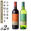 【ふるさと納税】メルロー・シャルドネセット(合計1.44L・720ml×2本)ワイン 白ワイン 赤ワイン 酒 お酒 アルコール ぶどう 安心院産 飲み比べ セット 安心院小さなワイン工房ワイン 【100803100】【百笑一喜】