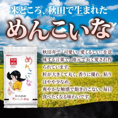 ふるさと納税 秋田市 定期便2ヶ月 めんこいな【白米】秋田県産 2kg(2kg×1袋)|15_zna-050202h |  | 03