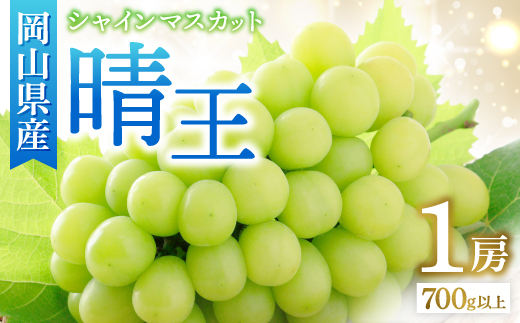 ◆先行受付◆　秋のシャインマスカット「晴王」1房　2026年発送【配送不可地域：離島・北海道・沖縄県】