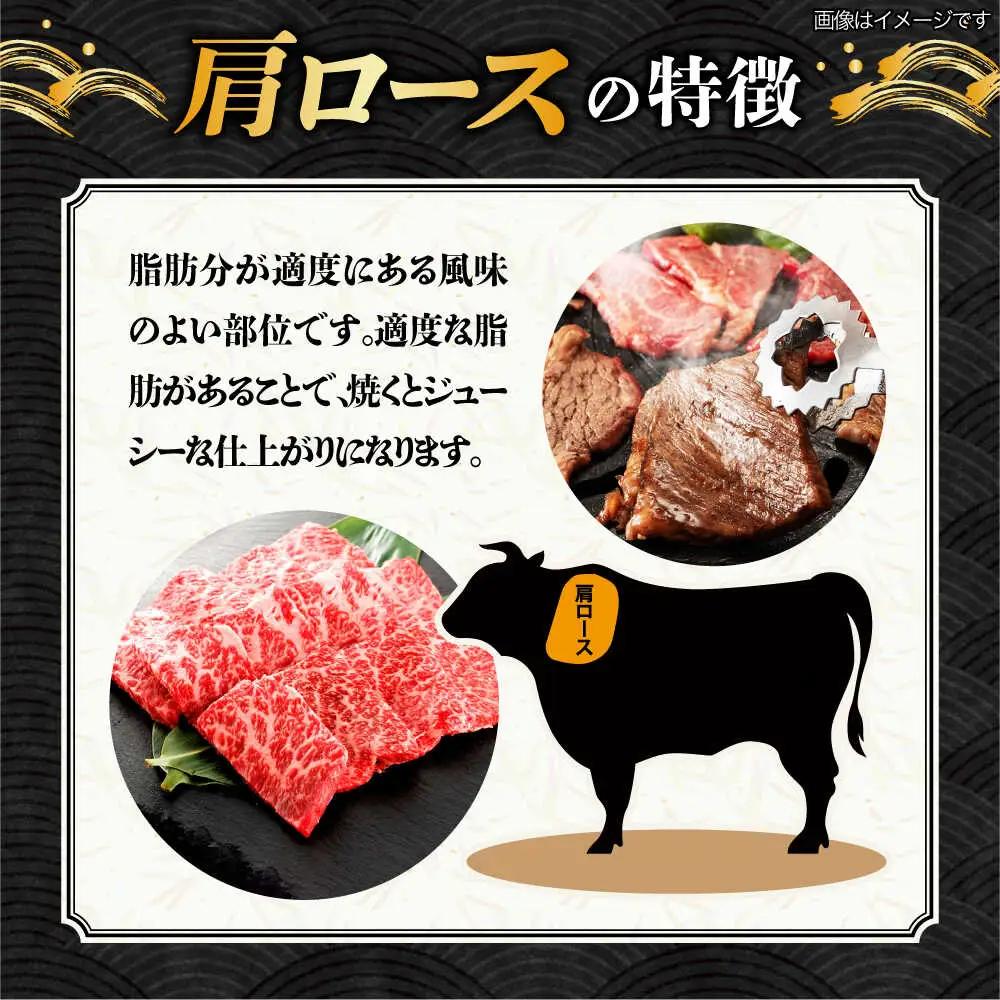 【1月発送】飛騨牛 ロース・肩ロース 1kg A5等級 [TAZ034-1]