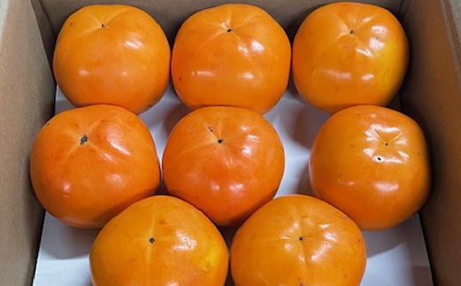 【先行予約】富有柿の新品種「紀州てまり」約7.5kg（22玉～32玉おまかせ）※2026年11月上旬～2026年11月中旬頃発送予定【tec976】