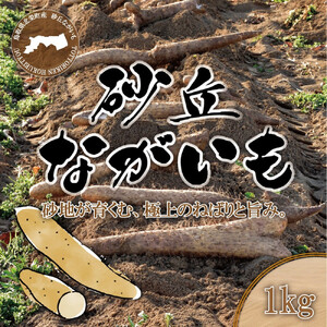 1112.砂丘ながいも1kg
