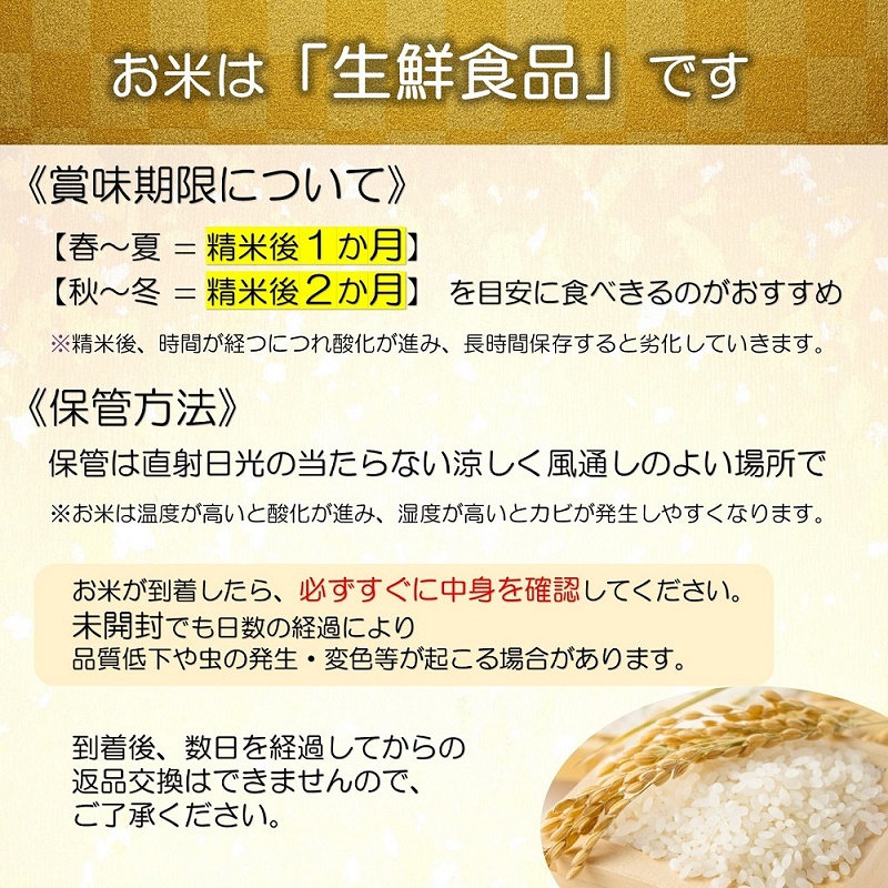 令和7年産 JA はえぬき 10kg (5kg×2袋) 『JA山形おきたま』 山形県産 米 精米 山形県 南陽市 [2594]