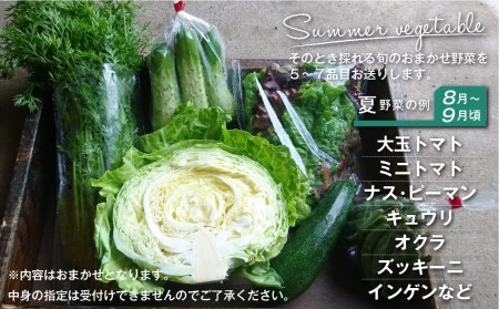 【数量限定】無肥料 自然栽培 野菜セット 5～7種 やさい 野菜詰合せ 秋野菜 /  産地直送 詰合せ セット 新鮮野菜 amrita農園 KM001