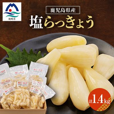 ふるさと納税 枕崎市 鹿児島県産塩らっきょう1.4kg (140g×10パック) A3-284