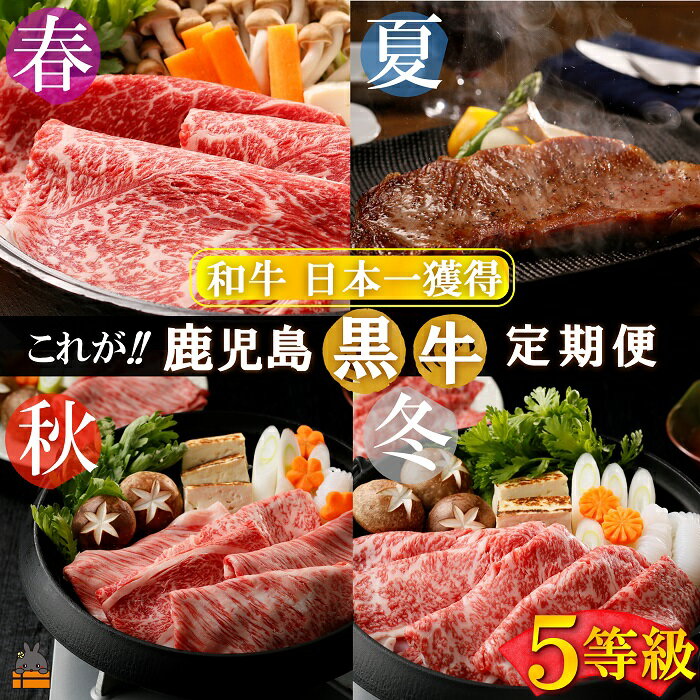 【ふるさと納税】《和牛日本一獲得》5等級 これが!!鹿児島黒牛定期便 （年間4回お届け） ( 5等級 黒牛 黒毛和牛 牛肉 鹿児島 日本一 全国和牛能力共進会 徳之島 奄美 鹿児島 ステーキ すき焼き 定期便 ウデスライス サーロイン カタロース リブロース JA食肉かごしま )