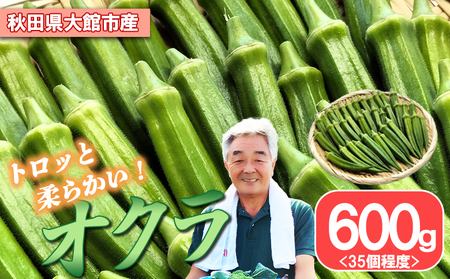 トロッとおいしいオクラ＜約600g＞　50P3254