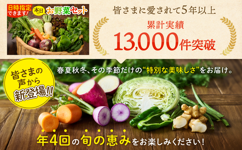 【全４回定期便】春夏秋冬 季節のお野菜セット（サイズ大）