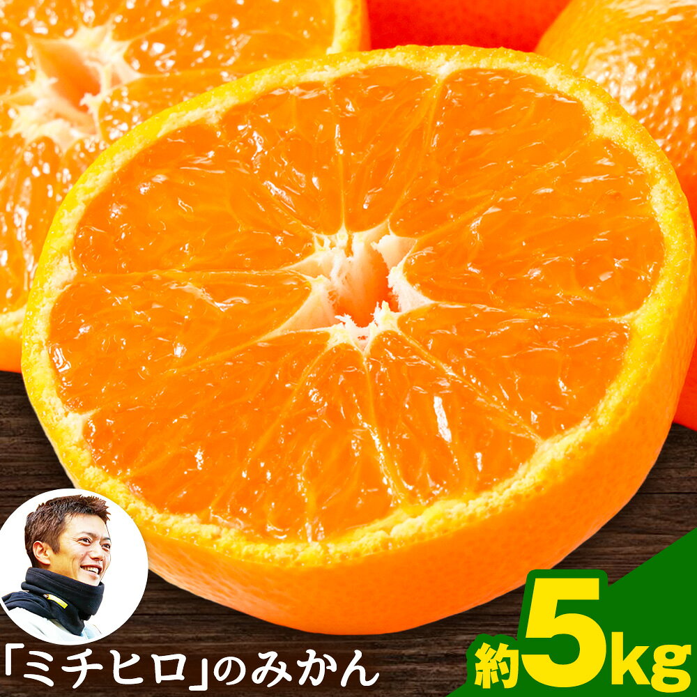 【ふるさと納税】【先行予約】秋 旬 フルーツ みかん ぎょくだん『ミチヒロ』のみかん 約5kg(サイズおまかせ) 予約受付中 フルーツ 秋 旬 熊本県玉名郡玉東町『熊本・玉東、玉東町段々畑男子団。』みかん ぷらっとぎょくとう《10月中旬-1月中旬出荷》