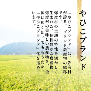 ＜お試し＞令和7年産 特別栽培米コシヒカリ ｢伊彌彦米｣精米 2kg | 伊彌彦米 新潟県