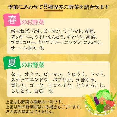 ふるさと納税 日高町 ファーマーズマーケット厳選　日高からの贈り物　季節の野菜セット(8種以上)【野菜詰め合わせ】 |  | 01