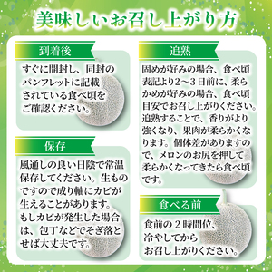 ＜2026年先行受付＞ 飯岡メロン 約3.4kg (約 1.7kg × 2玉) 青肉 【 メロン 】